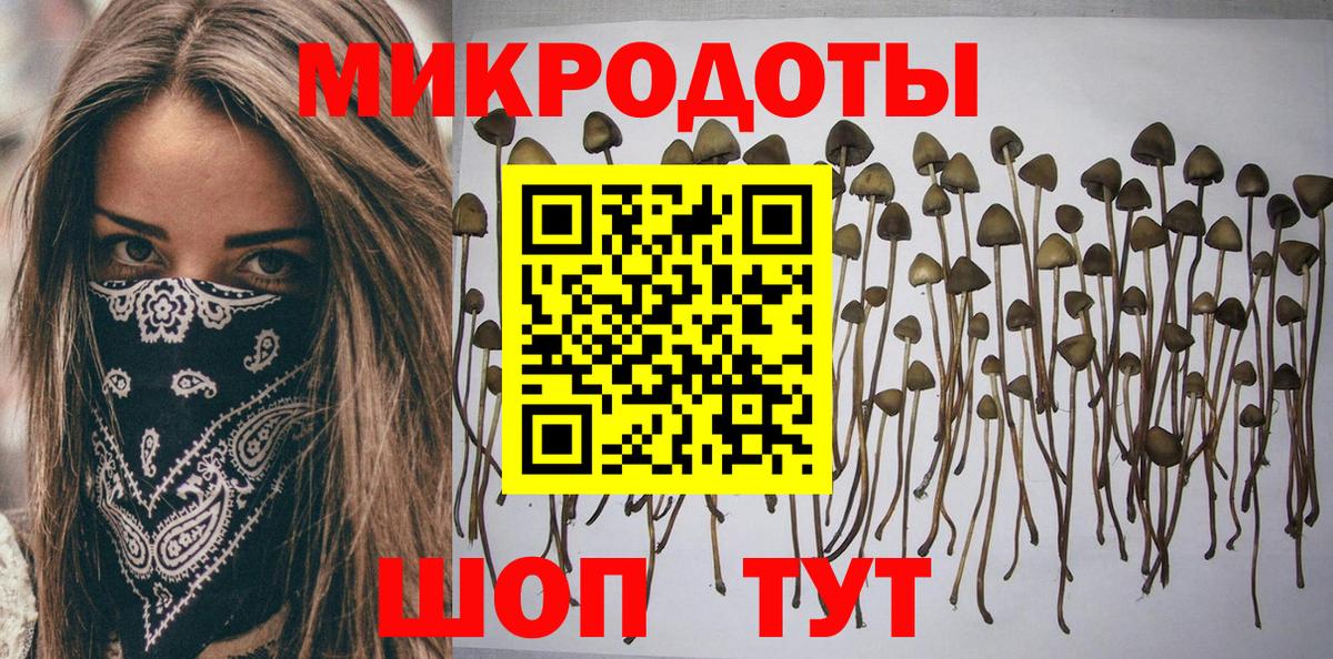 купить наркоту  Вход с VPN  Канаш  Галлюциногенные грибы Magic Shrooms  Псилоцибиновые грибы мицелий 